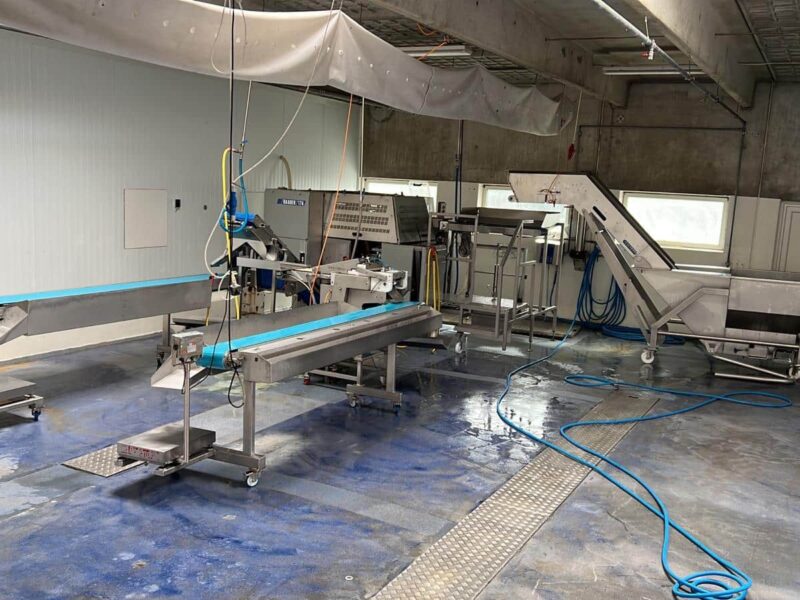 Línea para filetear el pescado Baader 176