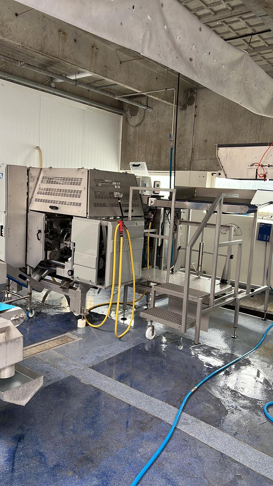 Fish filleting line Baader 176 - Image 2