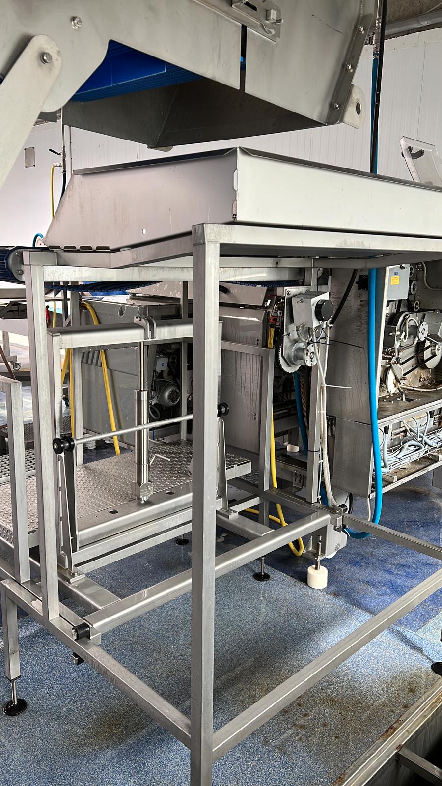 Fish filleting line Baader 176 - Image 5