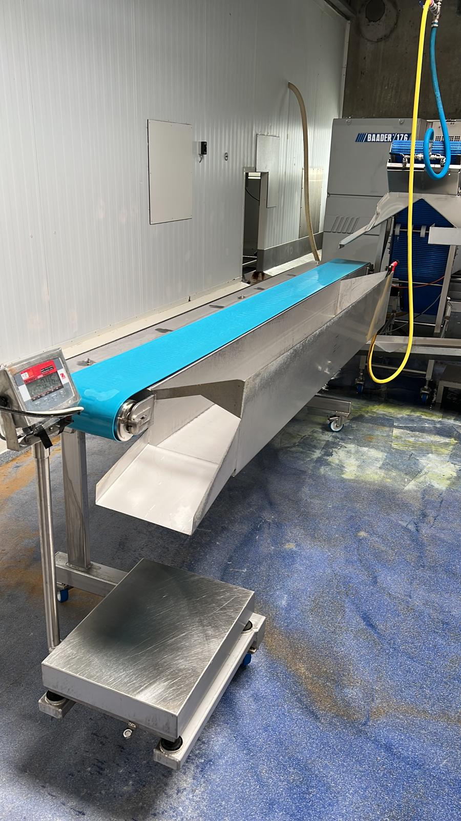 Fish filleting line Baader 176 - Image 7