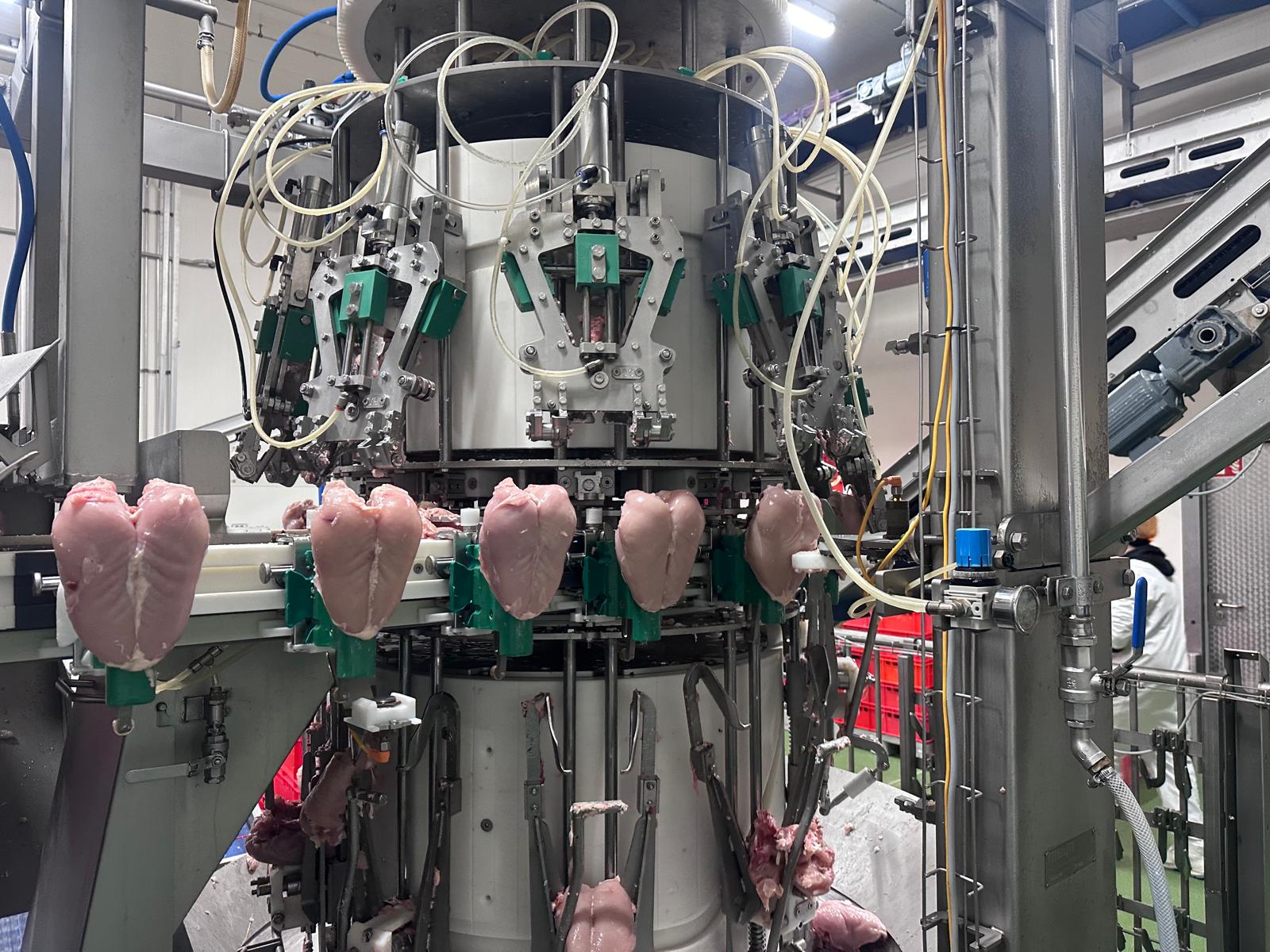 Meyn Rapid Plus M3 Poultry Filleting Line