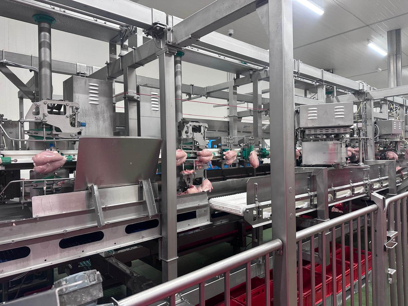Meyn Rapid Plus M3 Poultry Filleting Line - Image 3