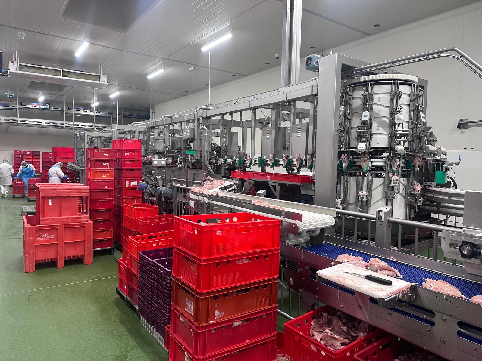 Meyn Rapid Plus M3 Poultry Filleting Line - Image 6