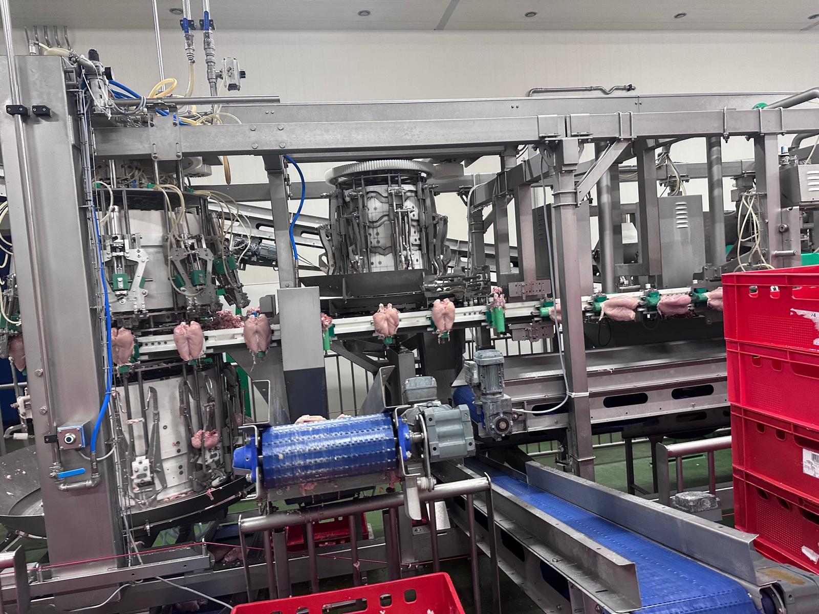 Meyn Rapid Plus M3 Poultry Filleting Line - Image 7